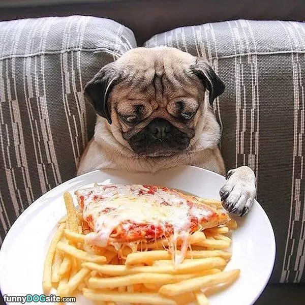 I Want Some Pizza