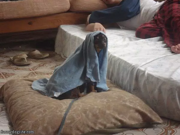 Hiding Under Here