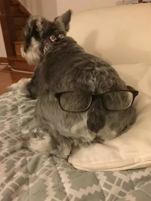 Got My Eyes On You