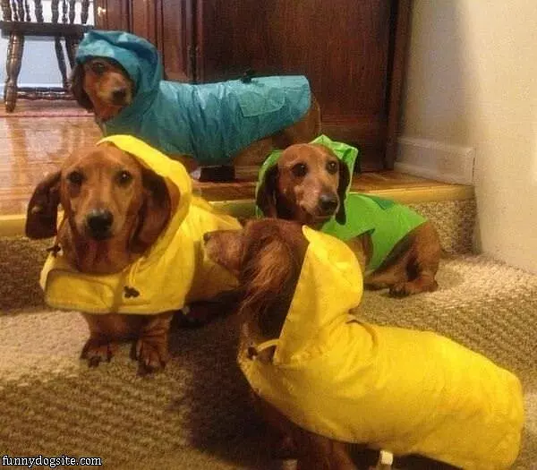 Ready For Rain