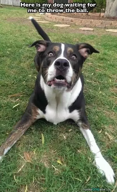 Throw It Already