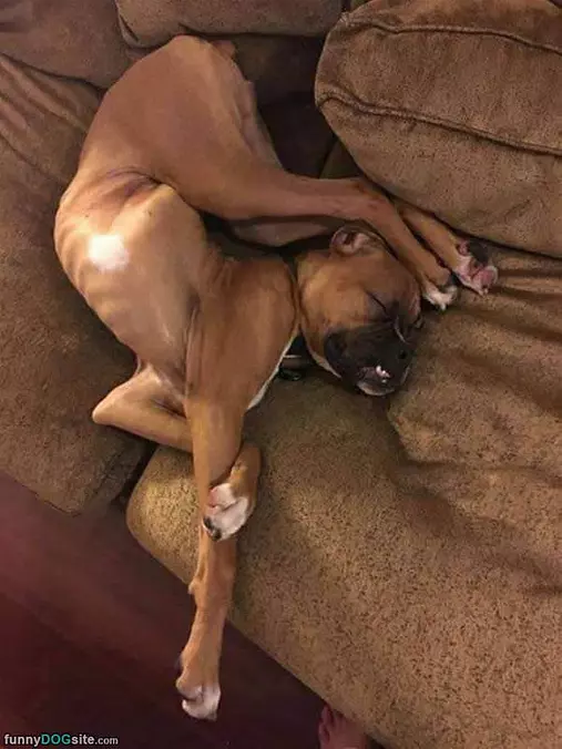 Sleep How I Want