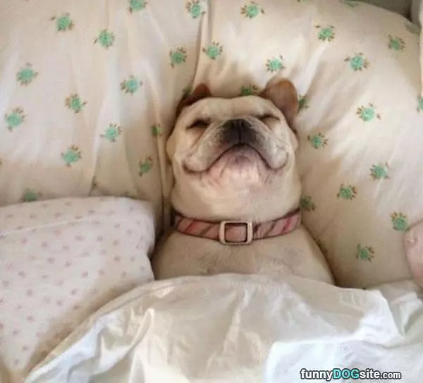 Cutest Sleeper
