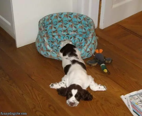 I Sleep Where I Want