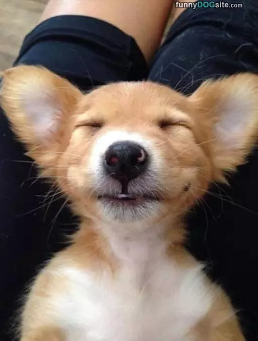 Very Relaxed