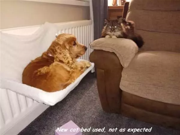Not Used As Expected