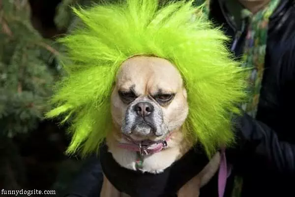 Crazy Green Hair
