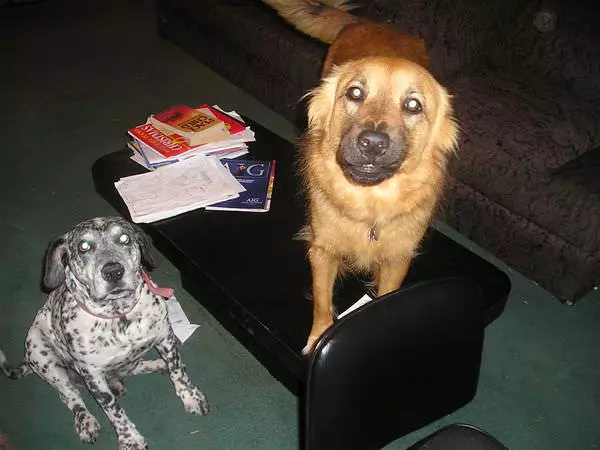We Want Treats