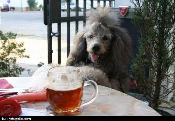 I Love Beer