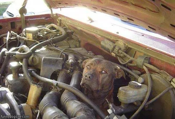 Mechanic