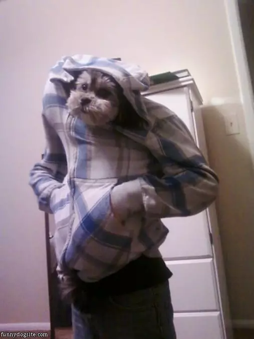 Whats Up Dog