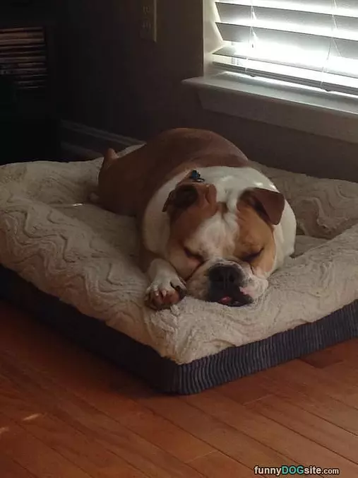 Sleeping Here