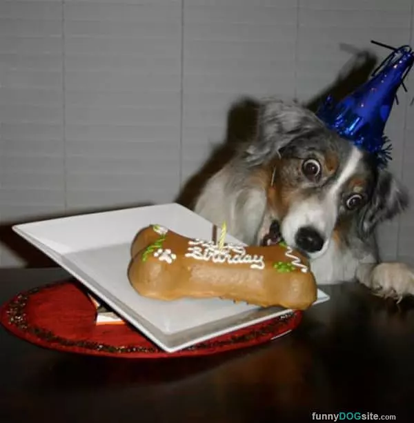 Nommmm Nom Nomm