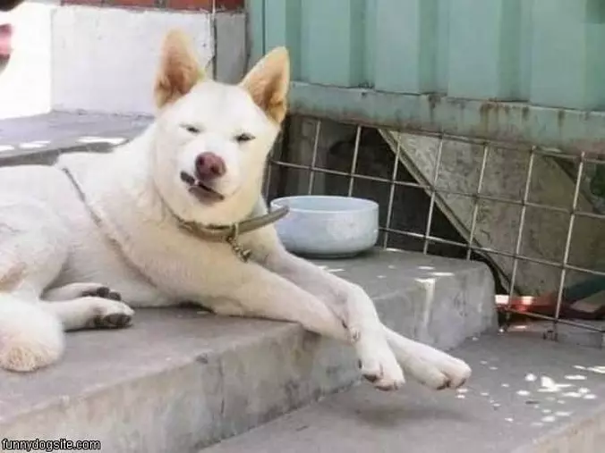 Hwaaa
