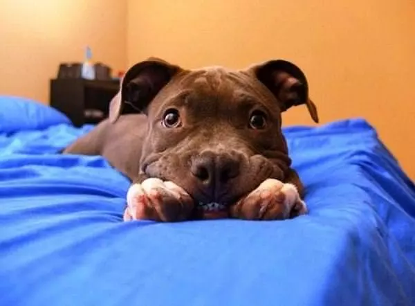 Smiiillllleeeee