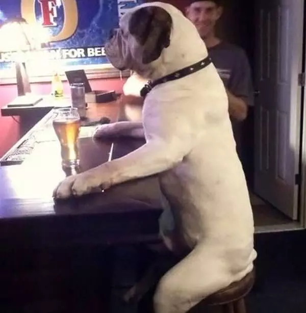 Another Please