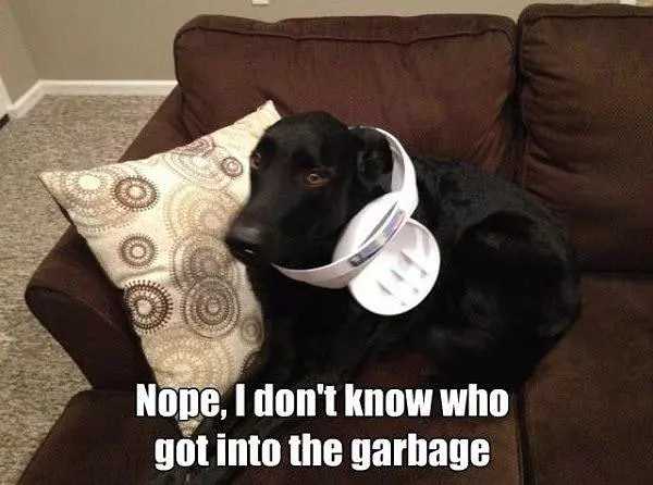 I Have No Idea