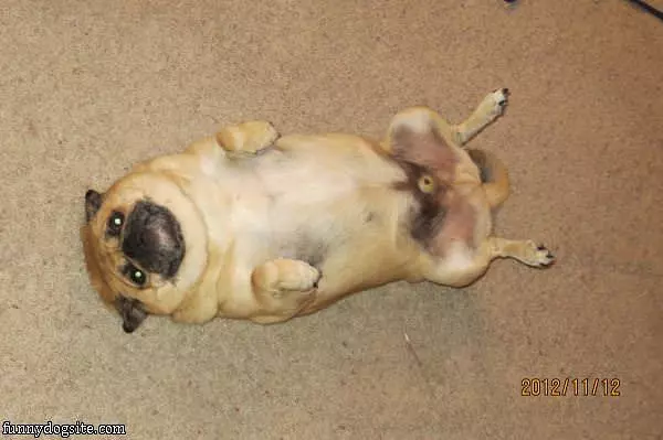 Roll Me Back Over Please