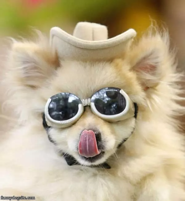 Licking My Nose