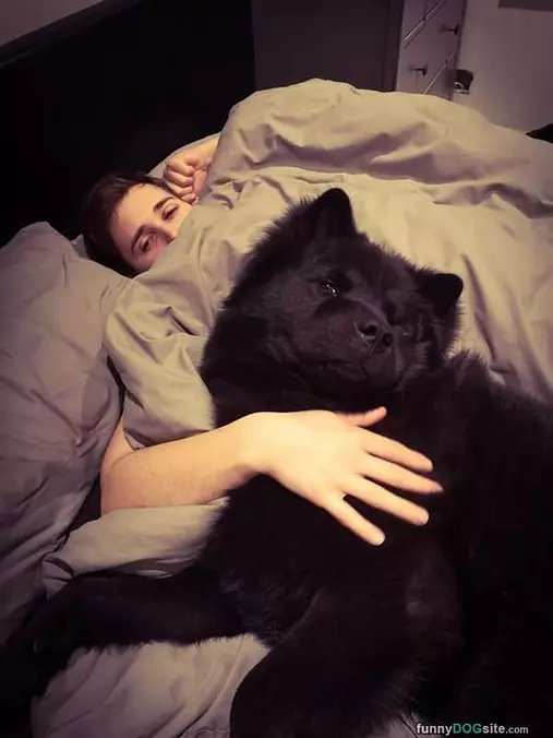 Relaxed In Bed