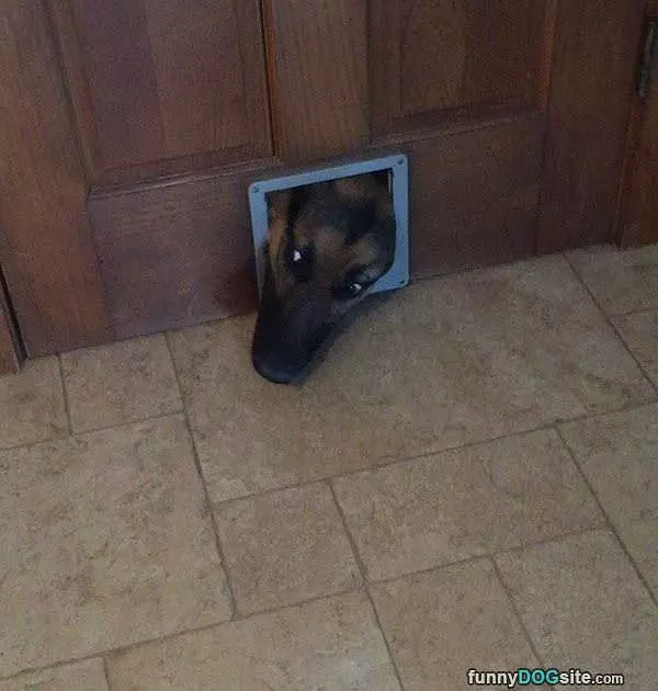 Hanging Out In The House