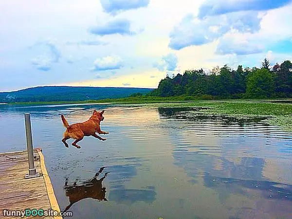 Long Jumper