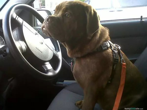 My Turn To Drive