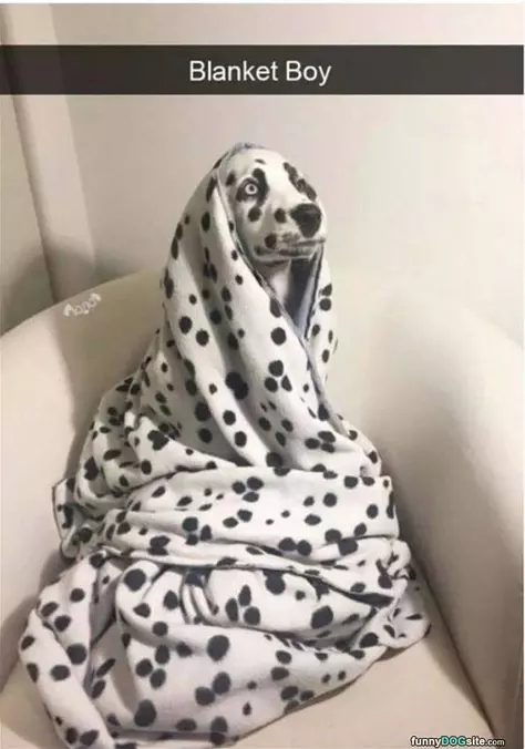 Blanket Boy