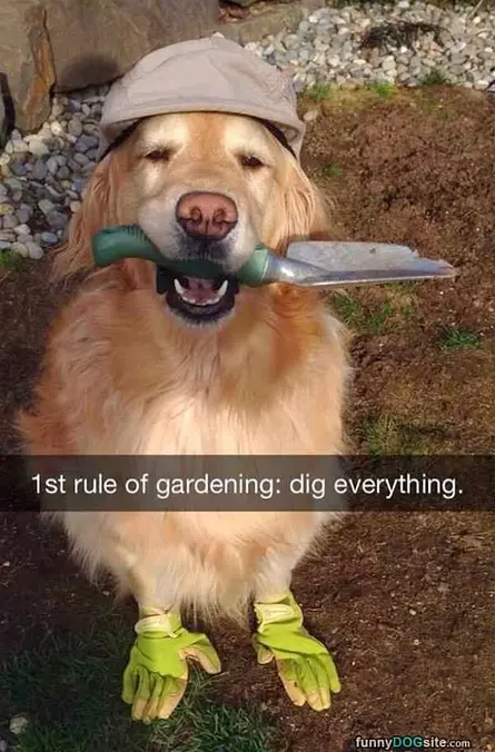 1st Rule