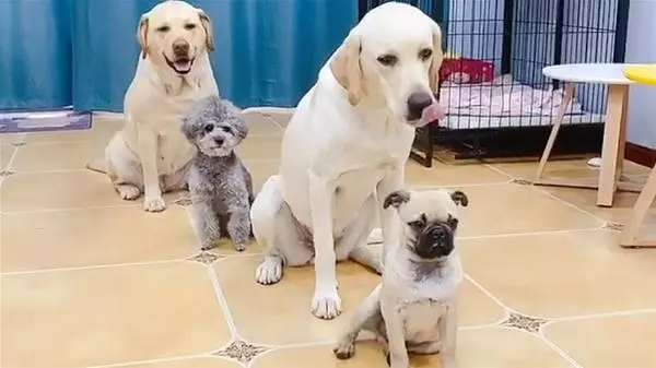 Waiting Our Turn