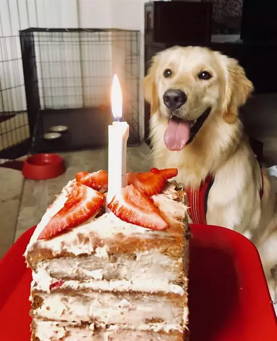 I Love Birthdays