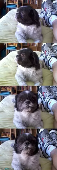 Very Suspicious