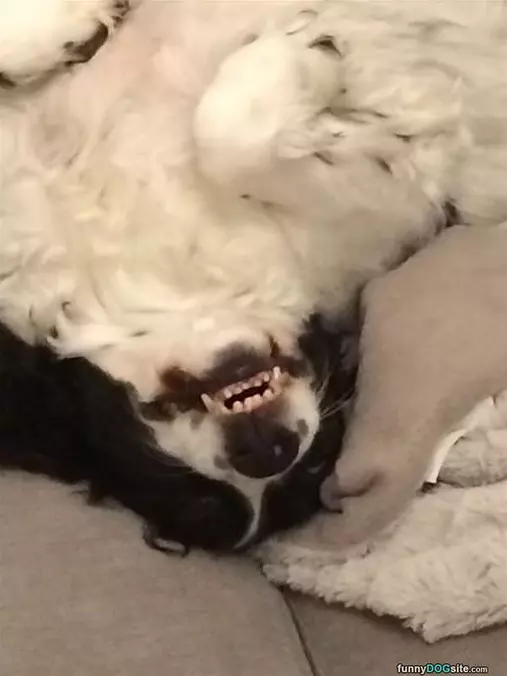 Relaxed On My Back