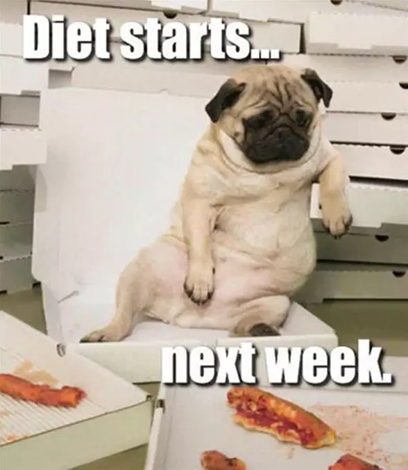 My Diet