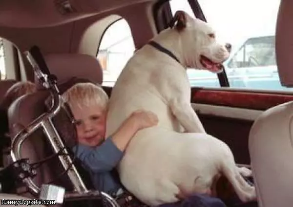 Go For A Ride
