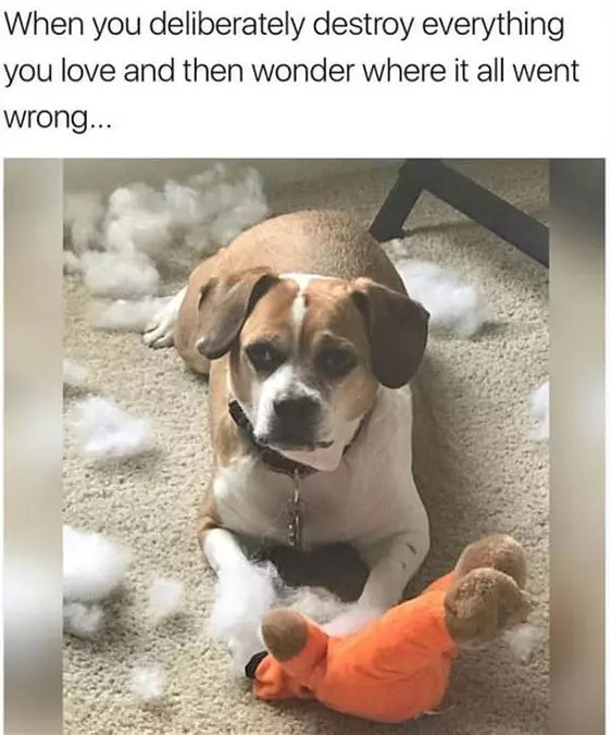 Detroy Those Things You Love