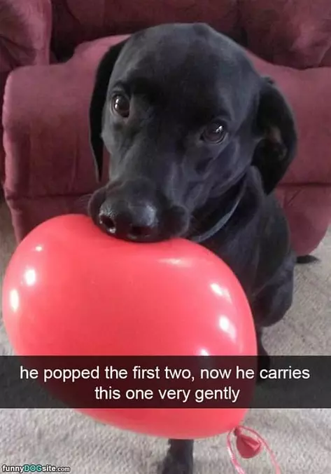 Very Gentle