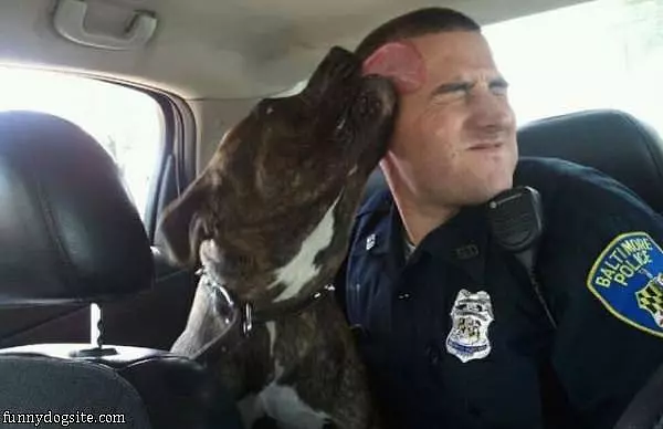 Let Me Get That