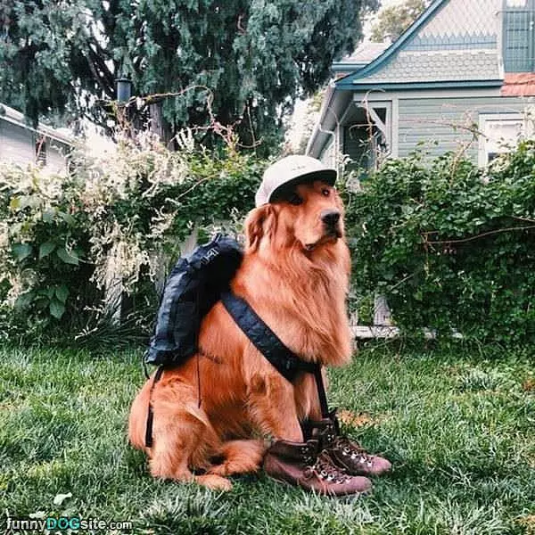 Ready To Go
