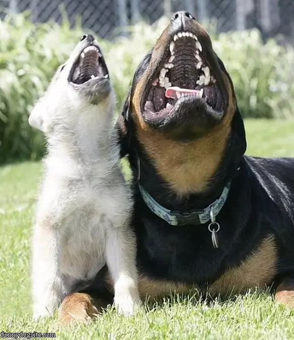 We Want