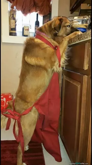 Helping In The Kitchen