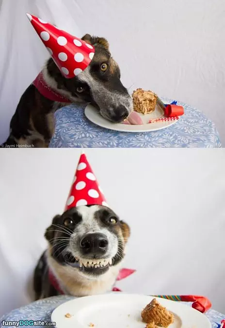 Loved My Cake