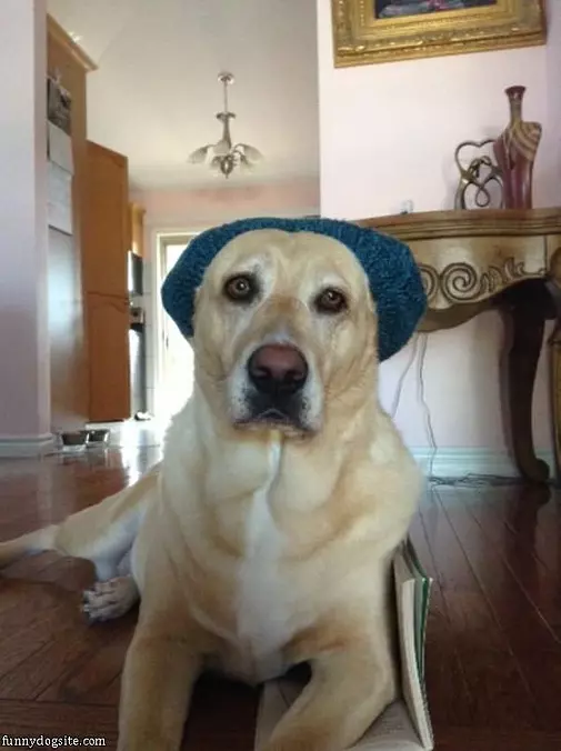 Bella And Her Cute Hat