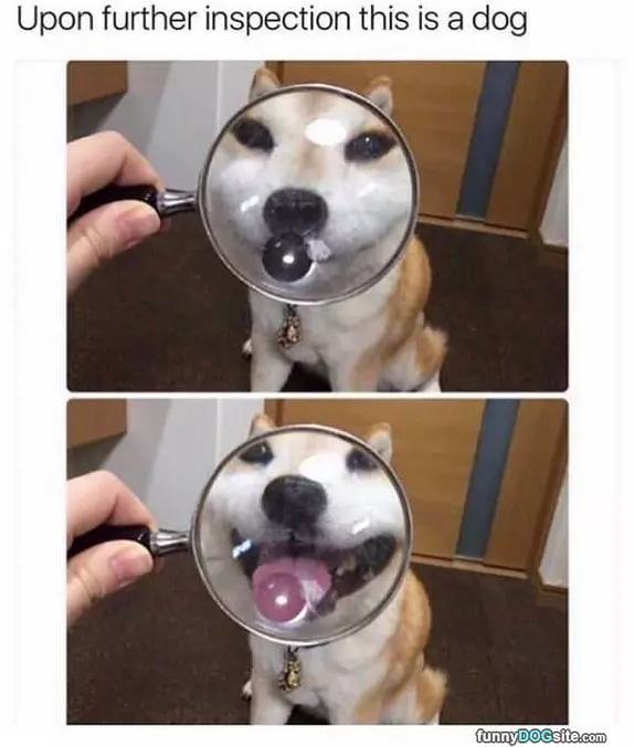 Upon Further Inspection