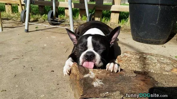 Going To Do Some Napping Here