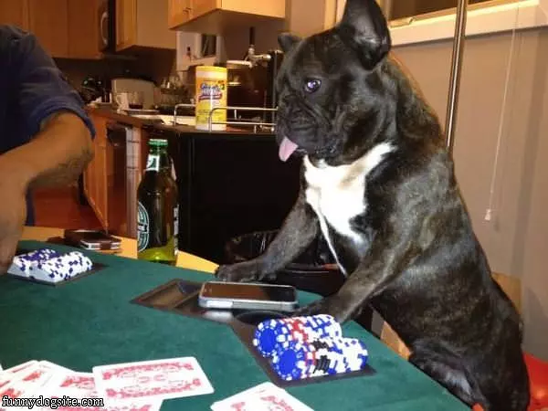Lets Play Some Poker