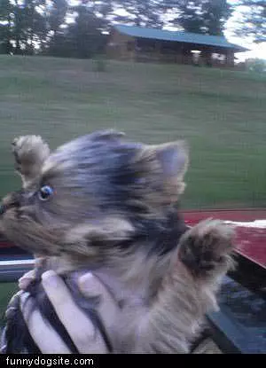 Excited Face