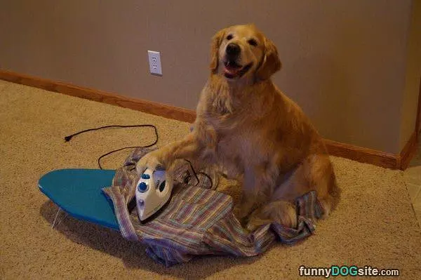 Doing Some Ironing