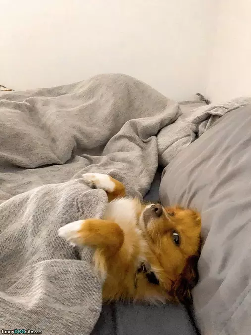 Pull Up My Blanket