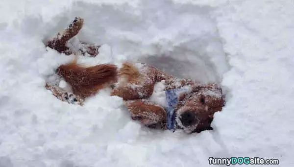 I Love The Snow So Much